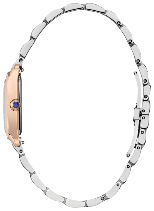 Citizen Bianca Eco-Drive Women's Watch EW5624-54Y