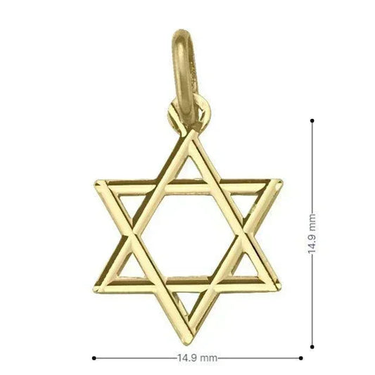 14 Karat Yellow Gold Star Of David Small Medalion