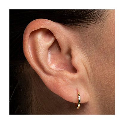 10K Yellow Gold 0.04TDW Diamond Earrings 20041