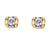 10K Yellow Gold 0.06TDW Diamond Earrings