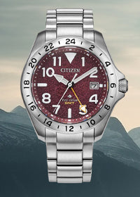 watch-image