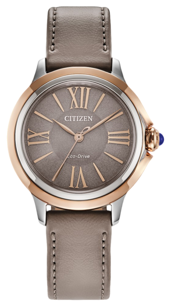 Citizen Ceci Eco-Drive Women&#39;s Watch EM1166-01Z