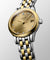 Longines Flagship Automatic Womens Watch L42743377