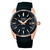 Seiko Astron Solar Men's Watch SSJ012