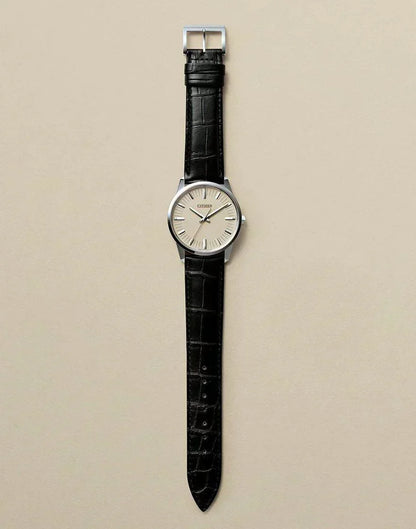 Citizen Eco Drive Men's Watch AQ6010-06A