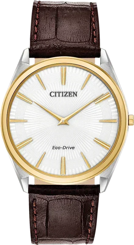 Citizen Stiletto Eco-Drive Mens Watch AR3074-03A