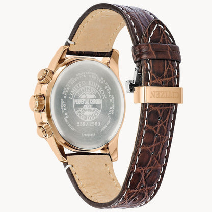 Citizen Perpetual Chrono A-T Eco-Drive Mens Watch AT4133-09E