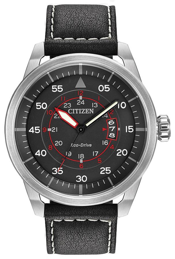 Citizen 2024 promaster avion