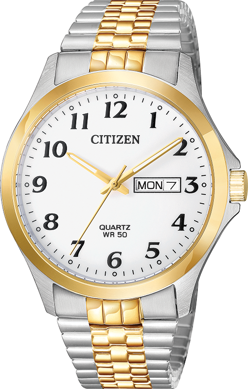 Citizen Quartz Mens Watch BF5004-93A