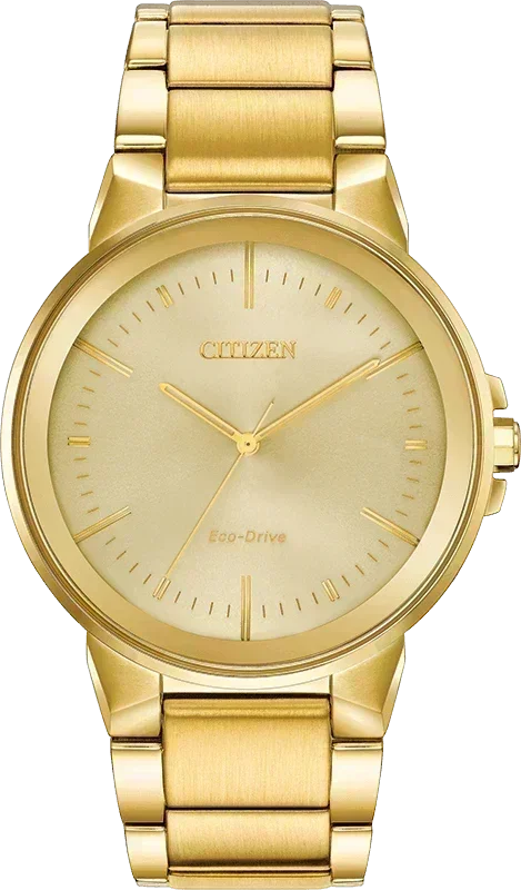 Citizen Axiom Eco-Drive Mens Watch BJ6512-56P