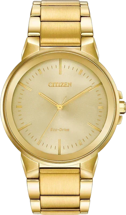Citizen Axiom Eco-Drive Mens Watch BJ6512-56P