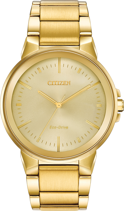 Citizen Axiom Eco-Drive Mens Watch BJ6512-56P