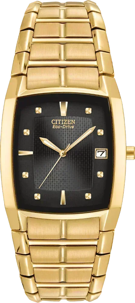 Citizen Paradigm Eco-Drive Mens Watch BM6552-52E