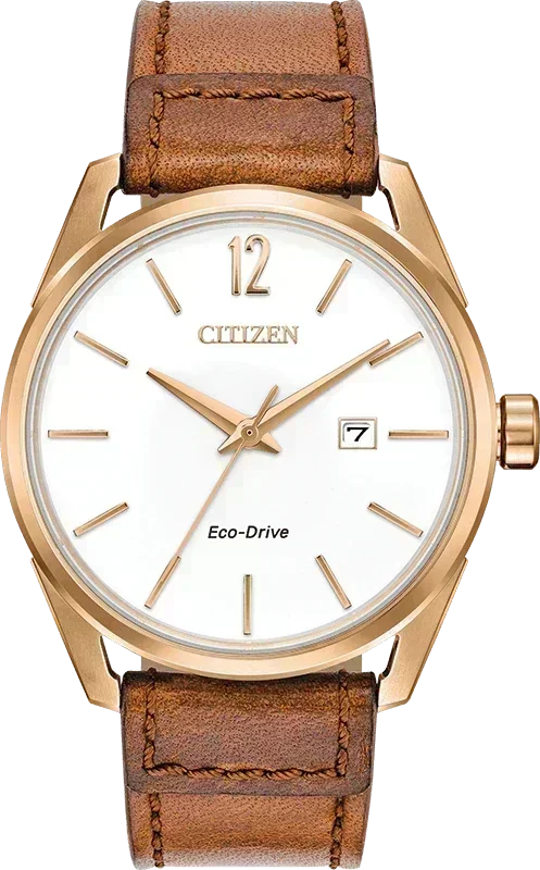 Citizen Check This Out Eco-Drive Mens Watch BM7413-02A