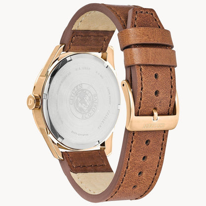 Citizen Check This Out Eco-Drive Mens Watch BM7413-02A
