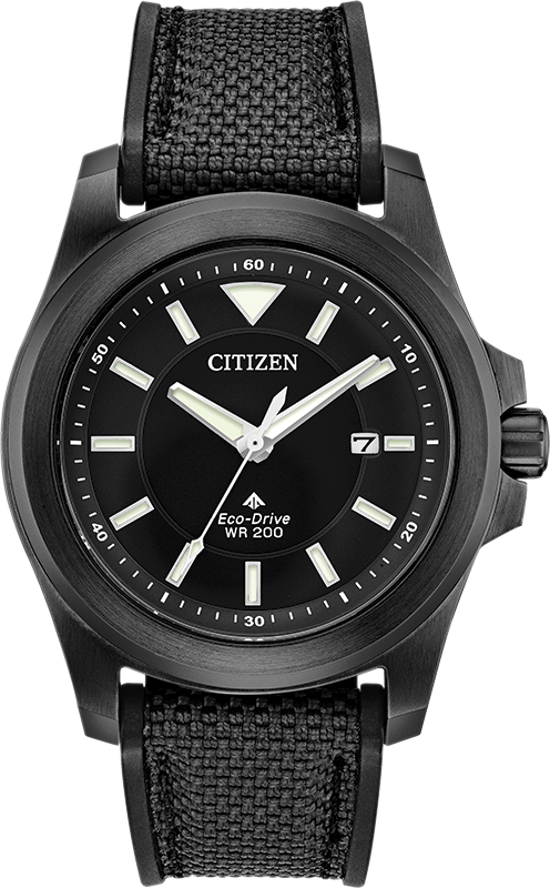 Citizen Promaster Eco-Drive Mens Watch BN0217-02E