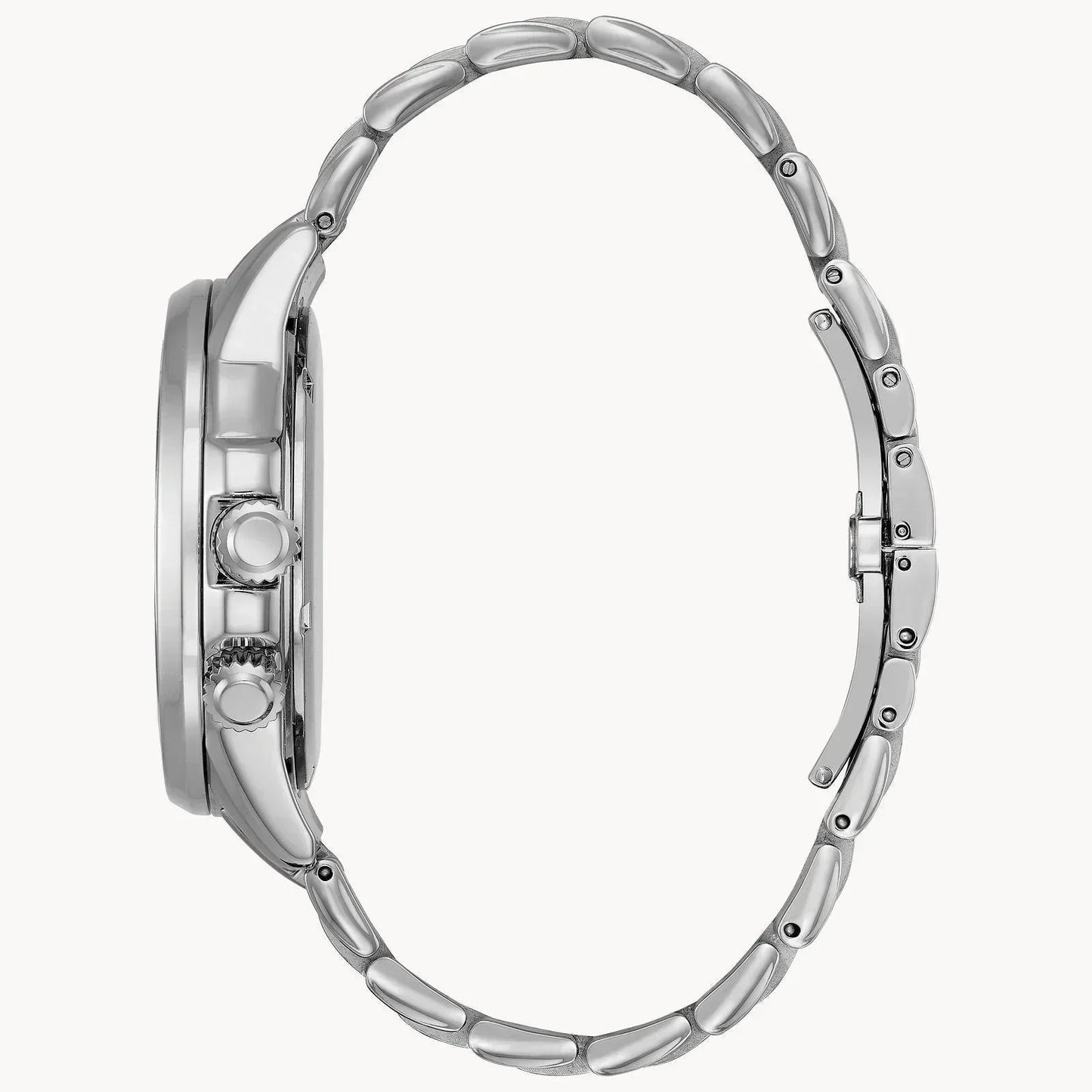 Citizen Eco Drive Calendrier Men's Watch BU2021-51L