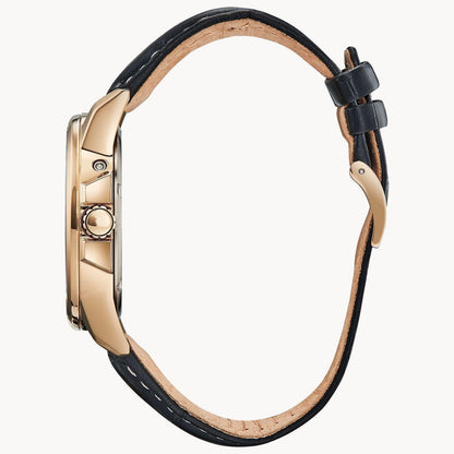 Citizen Eco Drive World Time Perpetual Calendar Men's Watch BX1003-08E