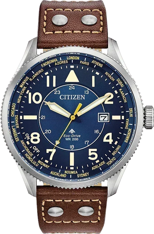 Citizen Promaster Eco-Drive Mens Watch BX1010-11L