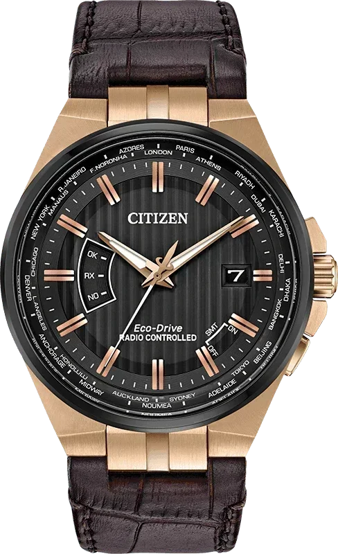Citizen World Perpetual A-T Eco-Drive Mens Watch CB0168-08E