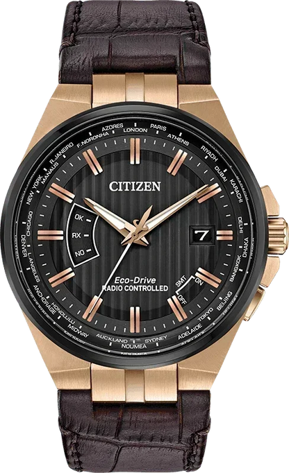 Citizen World Perpetual A-T Eco-Drive Mens Watch CB0168-08E