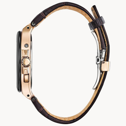 Citizen Eco Drive World Perpetual A-T Men's Watch CB0168-08E