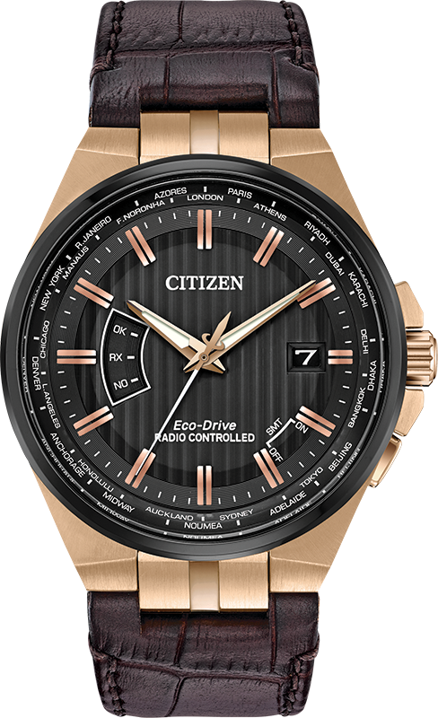 Citizen World Perpetual A-T Eco-Drive Mens Watch CB0168-08E