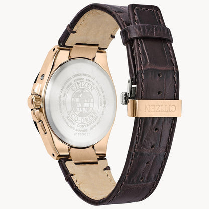 Citizen World Perpetual A-T Eco-Drive Mens Watch CB0168-08E