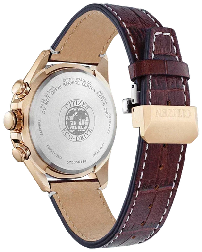 Citizen Eco Drive Perpetual Chrono AT Men's Watch CB5919-00X