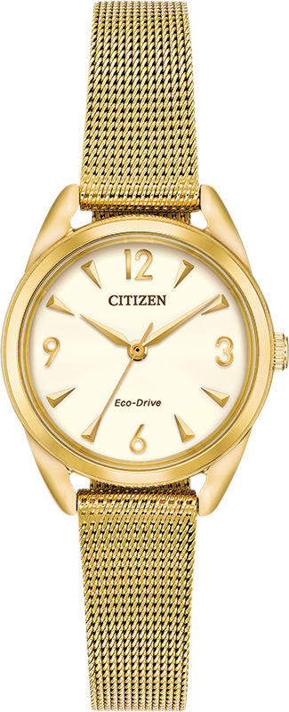 Citizen Long Term Relationship Eco-Drive Womens Watch EM0682-58P