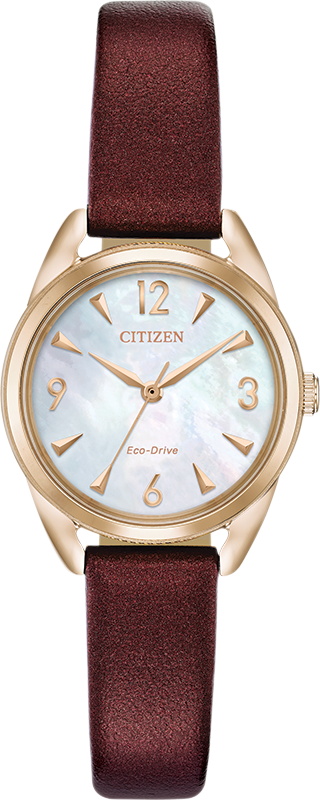 Citizen Long Term Relationship Eco-Drive Womens Watch EM0683-04D