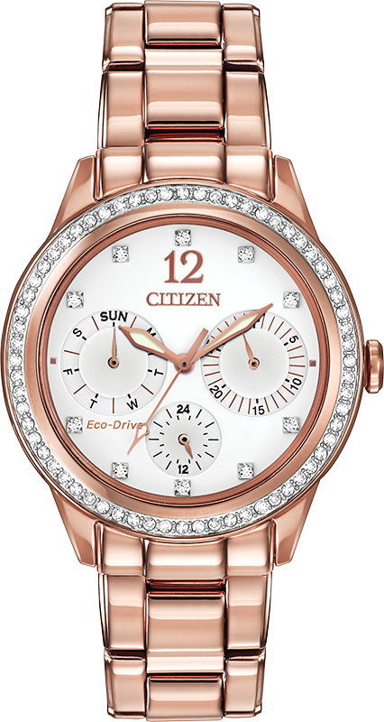 Citizen Silhouette Eco-Drive Womens Watch FD2013-50A