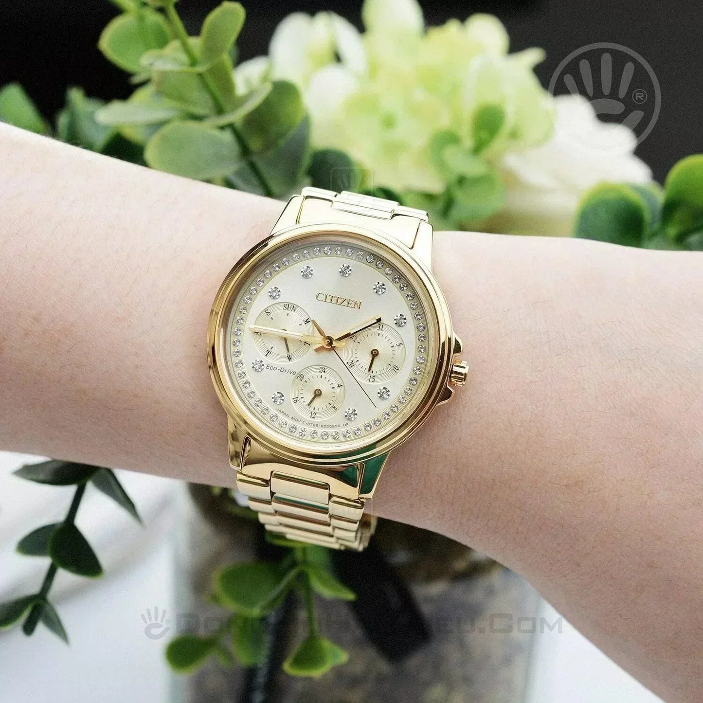 Citizen Chandler Eco-Drive Womens Watch FD2042-51P