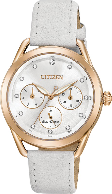 Citizen Long Term Relationship Eco-Drive Womens Watch FD2053-04A