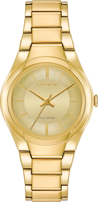 Citizen Paradigm Eco-Drive Womens Watch FE2092-57P