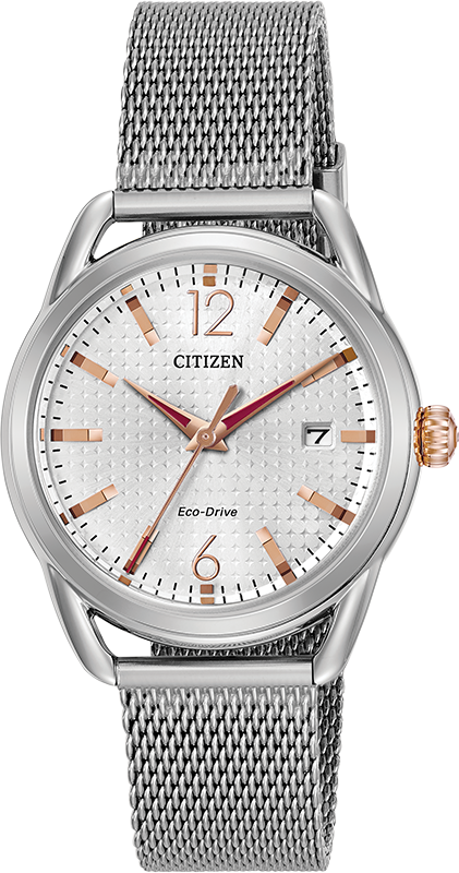 Citizen Long Term Relationship Eco-Drive Womens Watch FE6081-51A