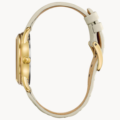 Citizen Eco Drive LTR (Long-Term Relationship) Women's Watch FE6082-08P