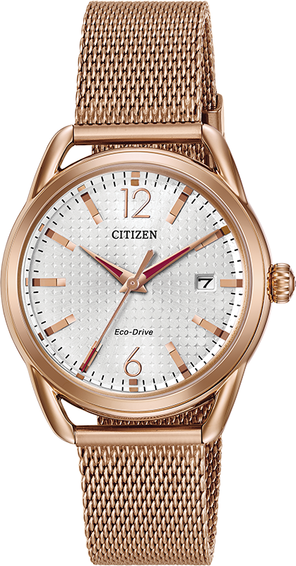 Citizen Long Term Relationship Eco-Drive Womens Watch FE6083-72A