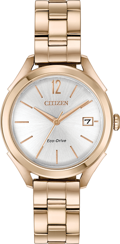 Citizen Long Term Relationship Eco-Drive Womens Watch FE6143-56A