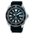 Seiko Prospex Automatic Men's Watch SRPG21K1