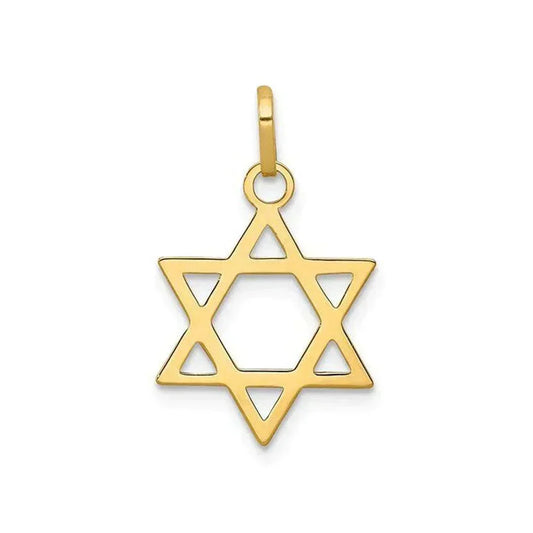 14 Karat Yellow Gold Star Of David Medium Medalion