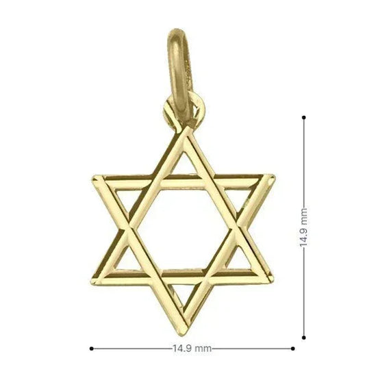 14 Karat Yellow Gold Star Of David Small Medalion