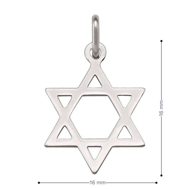 14 Karat White Gold Star Of David Medium Medalion