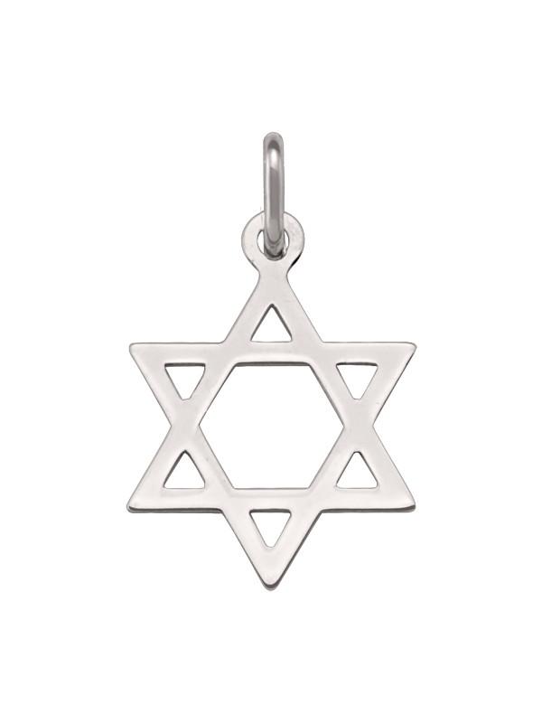 14 Karat White Gold Star Of David Medium Medalion